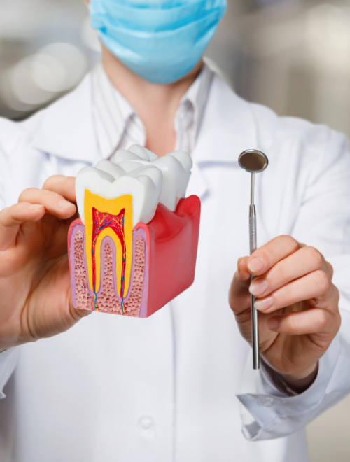 Leczenie Kanałowe Warszawa Wola