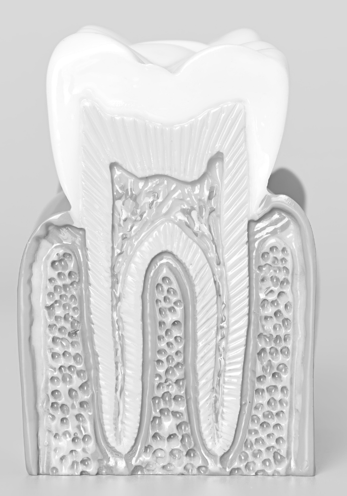 Periodontolog Warszawa - Leczenie Paradontozy